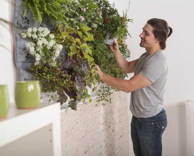 Man holding gardening equipment for attending flowers in his vertical garden on the wall. Happy modern and healthy living.